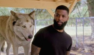 King Keraun Becomes A Wolf Rescuer