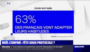 Covid-19: 63% des Français comptent adapter leurs habitudes à Noël, selon un sondage Odoxa