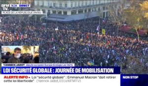 Sécurité globale: Yannick Jadot demande à Emmanuel Macron de "retirer cette loi"