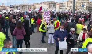 Mobilisation contre la loi "sécurité globale" : des dizaines de milliers de manifestants en France, des affrontements à Paris