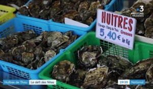 Alimentation : le commerce des huîtres en danger