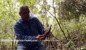 Polynésie Française : La pierre fleurie