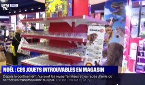 Noël : ces jouets introuvables en magasin - 16/12