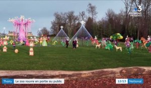 Thoiry : le zoo rouvre ses portes pour les fêtes