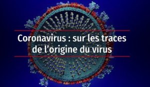 Coronavirus : sur les traces de l'origine du virus