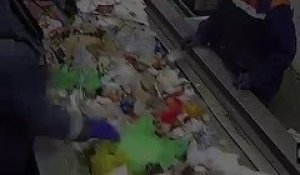 En triant les déchets, il trouve un chat enfermé dans un sac poubelle