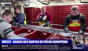 Accord post-Brexit: les pêcheurs Français restent prudents
