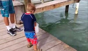 Cet enfant pensait nourrir des poissons mais attendez la suite...