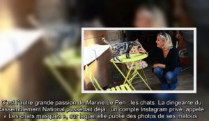 Présidentielle 2022 - Marine Le Pen compte-t-elle se reconvertir dans l’élevage de chats -