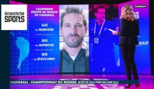 Interview de Guillaume Gille : "être compétitif dès jeudi"