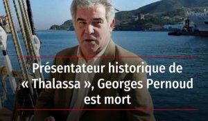 Présentateur historique de « Thalassa », Georges Pernoud est mort