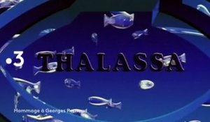 [BA] Thalassa - Hommage Georges Pernoud - 11/01/2021