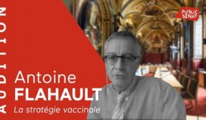 Covid-19 : l'audition de l'épidémiologiste Antoine Flahault sur la stratégie vaccinale au Sénat