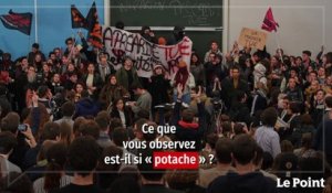 Xavier-Laurent Salvador : « La misogynie ne se combat pas sur le terrain de la langue »