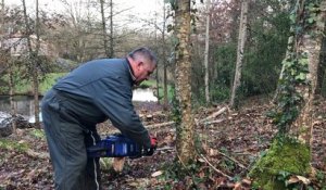 Coupe du bois l’hiver dans le bois de La Caillère