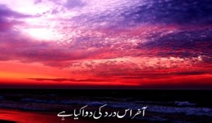 Dil e Nadan Tujhay Hua Kia Hai | MIRZA GHALIB | Poetry Lines | Lifestyle