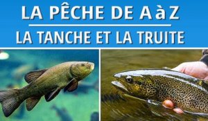 La Pêche de la Tanche