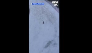 Un ours se lance à la poursuite d'un skieur en Roumanie