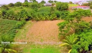 Martinique - La kassaverie du Lorrain