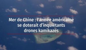 Mer de Chine : l’armée américaine se doterait d’inquiétants drones kamikazes