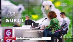 Le monde de Macron : Stop aux expressions péjoratives pour les animaux ? - 05/02