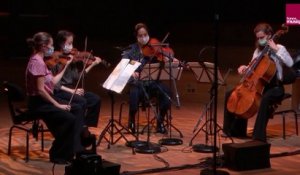Schubert : Quatuor n° 13 en la mineur D. 804 " Rosamunde" - III. Minuetto, Allegretto, Trio (Ardeo)