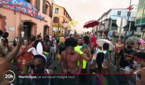Coronavirus - Des centaines de personnes bravent les règles sanitaires en Martinique pour participer au Carnaval en allant même narguer le Préfet