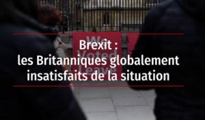 Brexit : les Britanniques globalement insatisfaits de la situation