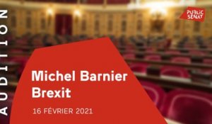 Après Brexit : Michel Barnier auditionné au Sénat
