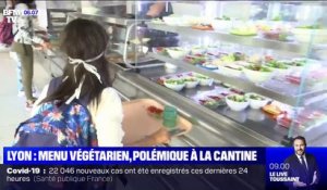 Menu végétarien à la cantine: Gérald Darmanin et Julien Denormandie dénoncent une "décision idéologique" de la mairie de Lyon