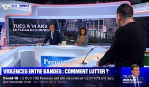 Violences entre bandes: comment lutter ? - 24/02