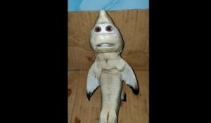 Incroyable, ce bébé requin est né avec une « tête humaine », en Indonésie