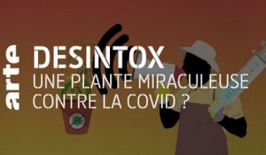 Une plante miraculeuse contre la Covid ? | 02/03/2021 | Désintox | ARTE