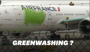 Greenpeace repeint un avion en vert contre le "greenwashing" et ça n'a pas plu au ministre des Transports