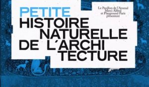 Petites histoires naturelles de l'architecture - Episode 4 - Arts décoratifs et isolation