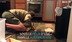Un énorme lézard trouvé dans le four d'une famille australienne
