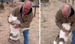 Après un an de séparation, une chienne aveugle et sourde reconnaît immédiatement son grand-père humain