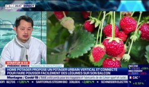 Start up & co : Home Potager propose un potager urbain vertical et connecté pour faire pousser facilement des légumes depuis son balcon - 16/03