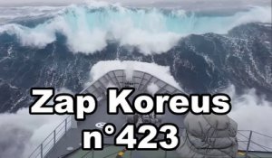 Zap Koreus n°423