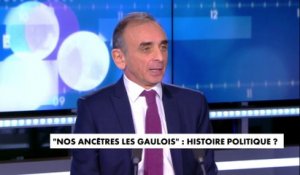 Eric Zemmour sur "Nos ancêtres les Gaulois" : "C'est le slogan le plus anti-raciste qui soit, ça devrait vous plaire"