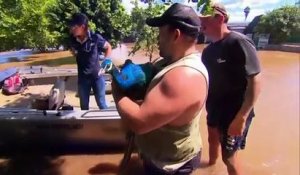 Les calamités des inondations en Australie : deux morts, des dégâts et des invasions d'araignées