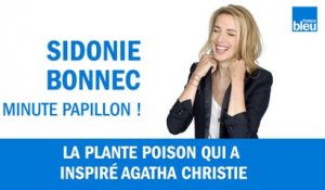 La plante poison qui a inspiré Agatha Christie