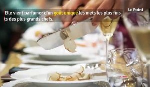 Petite révolution en vue dans le monde de la gastronomie