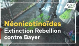 Néonicotinoïdes : quand Extinction Rebellion s'en prend à Bayer