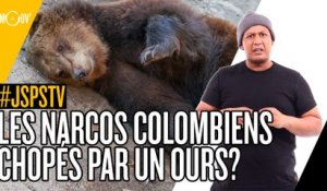 Je sais pas si t'as vu... les narcos colombiens chopés par un ours ?