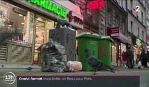 Insalubrité à Paris : à qui la faute ?