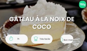 Gâteau à la noix de coco