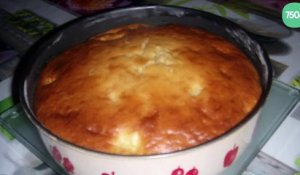 Gateau Au Yaourt Au Sucre Stevia