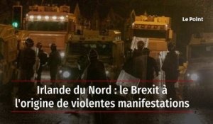 Irlande du Nord : le Brexit à l'origine de violentes manifestations
