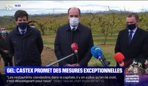 Gel: Jean Castex promet "des enveloppes exceptionnelles" pour aider les agriculteurs